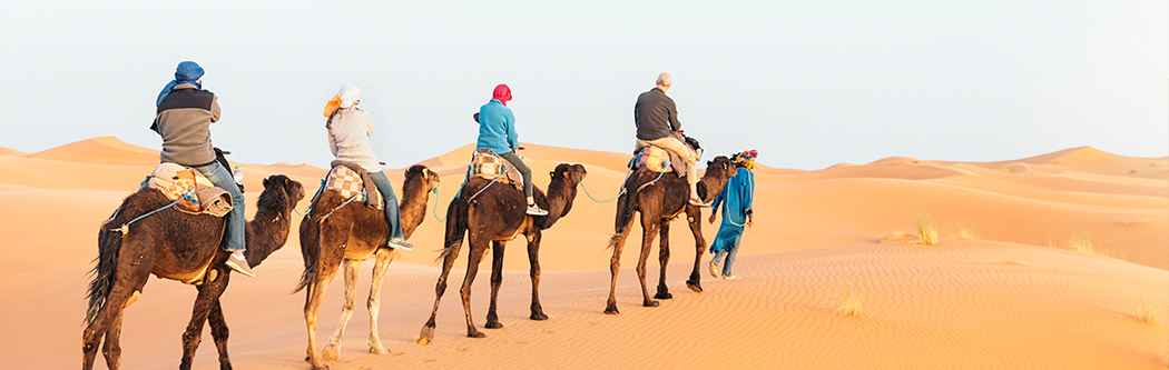 Desert Safari in Dubai with BBQ Dinner